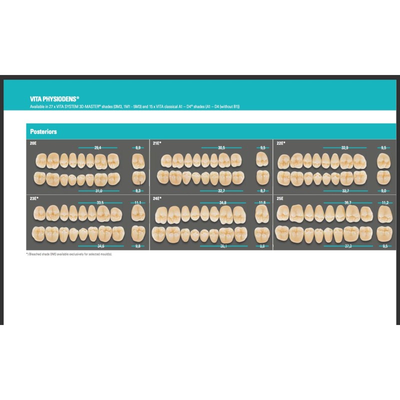 VITA PHYSIODENS POSTERIORI