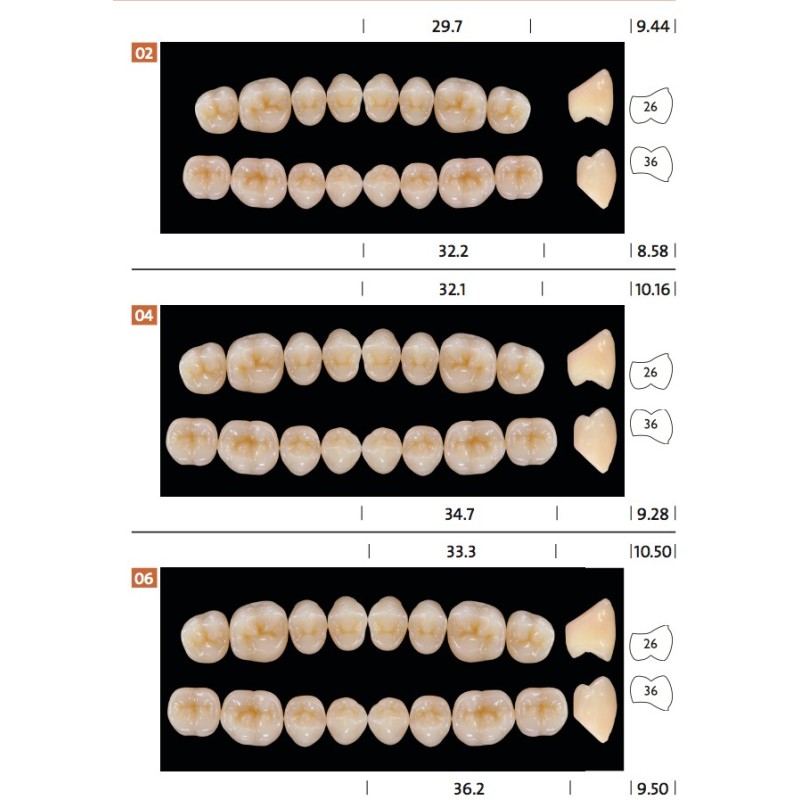 BONARTIC II NFC+ CANDULOR