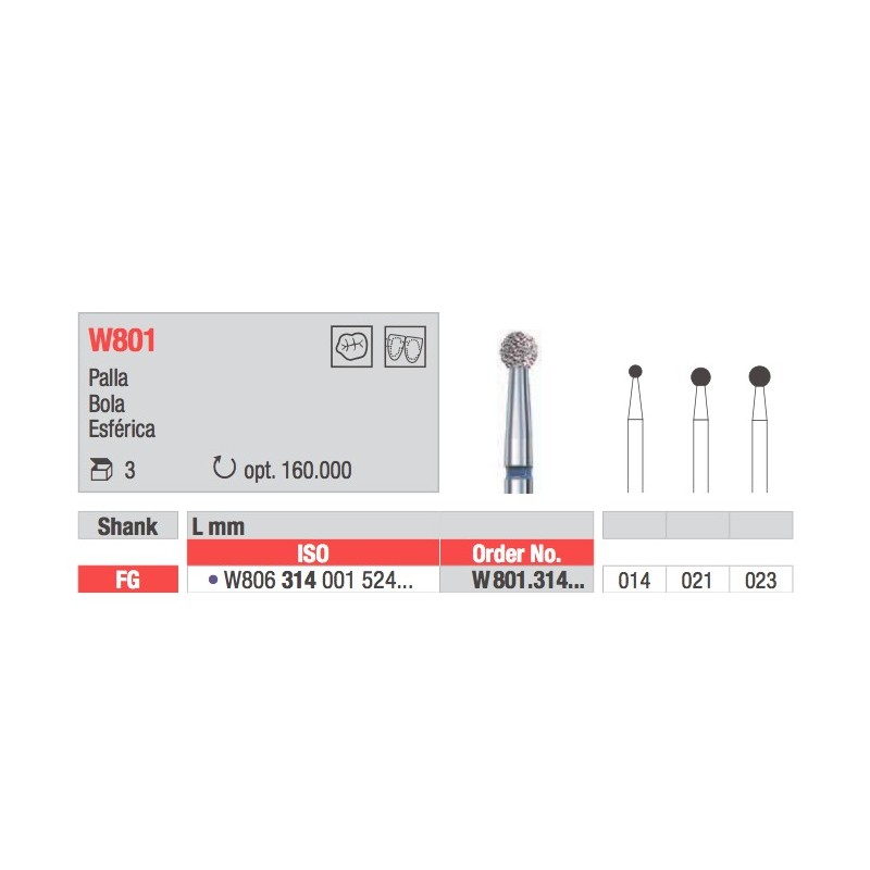 W801 TIGER EDENTA 3PZ