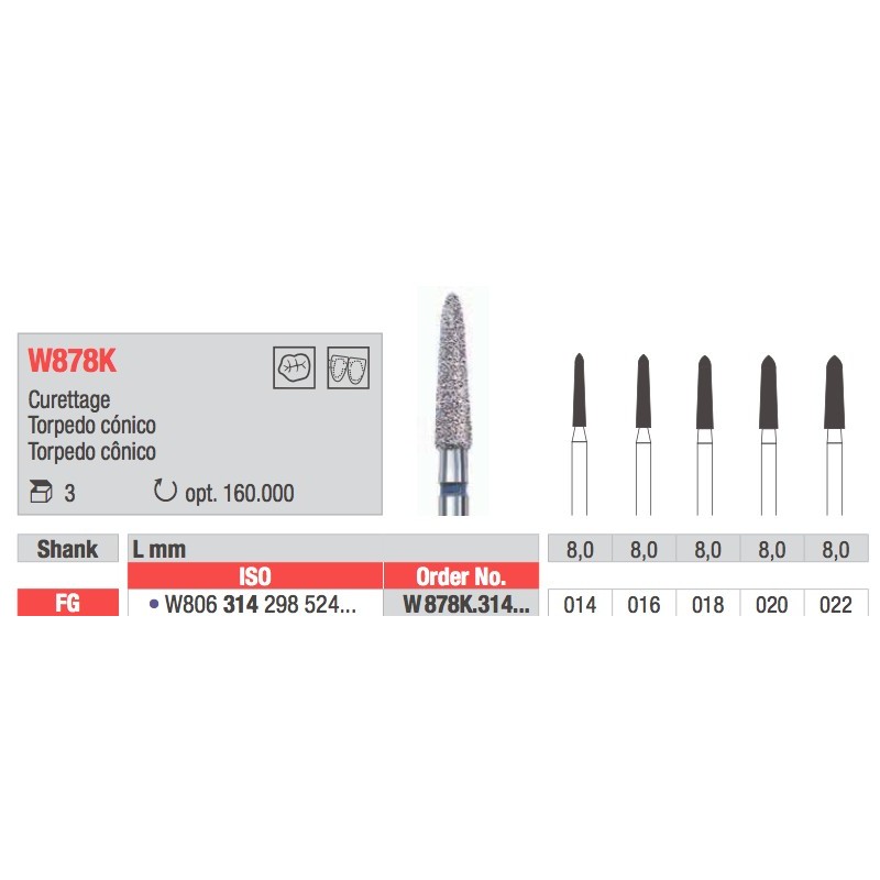 W878K TIGER EDENTA 3PZ