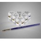 DS UNIVERSAL STAIN 5GR DENTSPLY-SIRONA