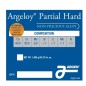 ARGELOY PARTIAL HARD ARGEN 1KG