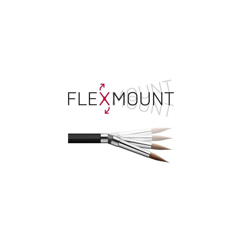 FLEXMOUNT SMILE LINE