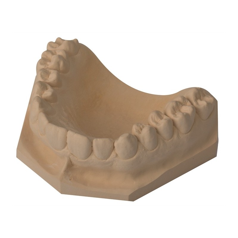 SPEEDY SAHARA KLASSE4 SPEEDY SAHARA KLASSE4